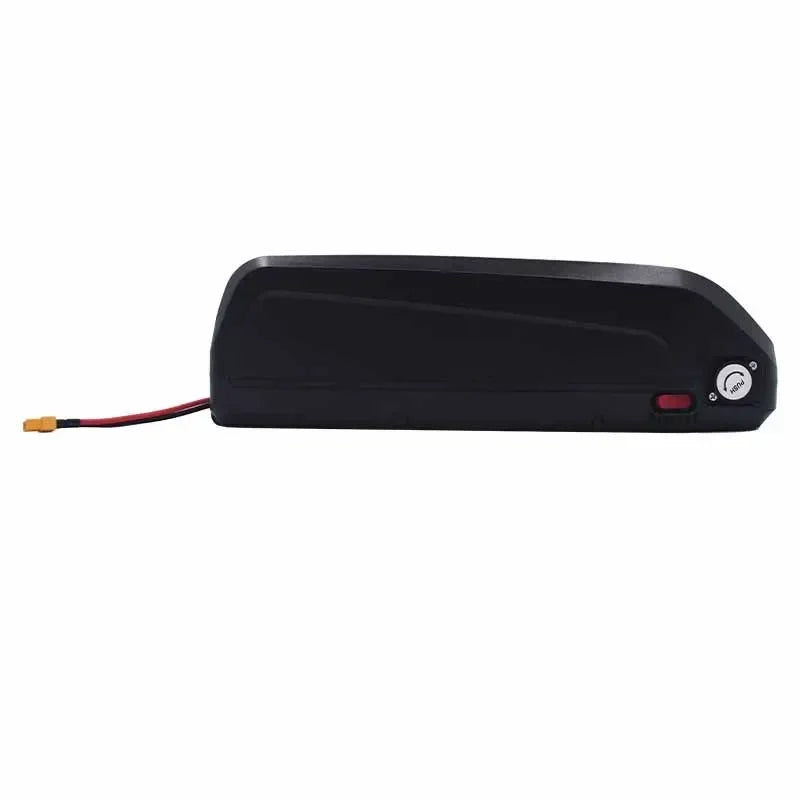 48V 20-40Ah Hailong eBike Battery with Charger