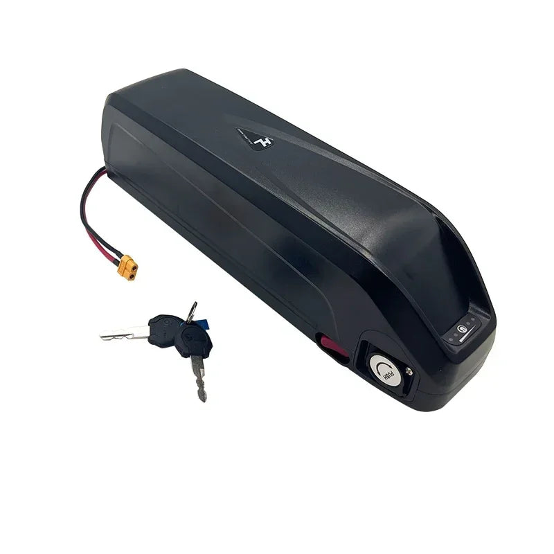 48V 20-40Ah Hailong eBike Battery with Charger