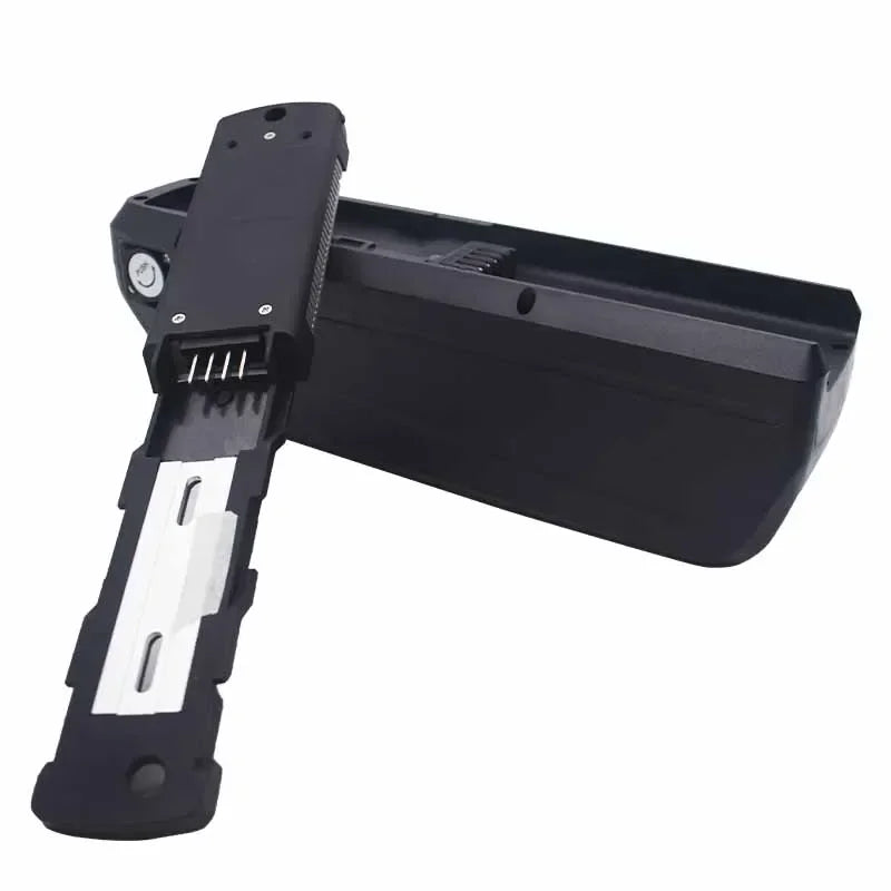 48V 20-40Ah Hailong eBike Battery with Charger