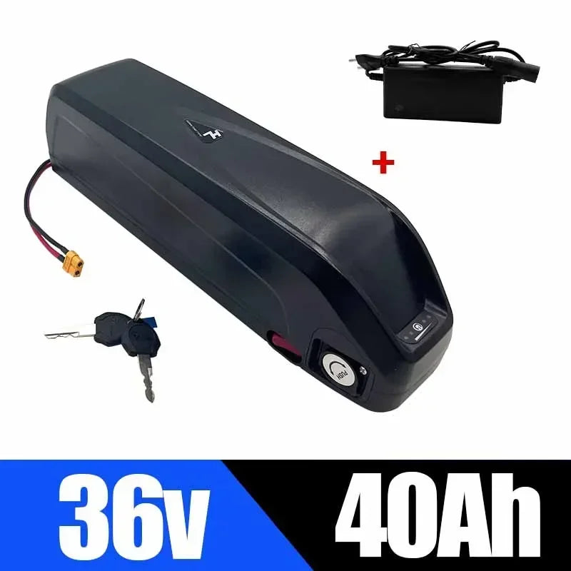 48V 20-40Ah Hailong eBike Battery with Charger